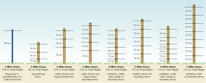 Arna stock options